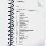 Salonkonzept Friseur Vorlage Luxus Businessplan Friseursalon Muster Aus Profihand Zum Download