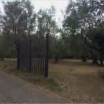 Sap Berechtigungskonzept Vorlage Erstaunlich Sap Hana Berechtigungen Scherblog