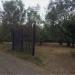 Sap Berechtigungskonzept Vorlage Erstaunlich Sap Hana Berechtigungen Scherblog