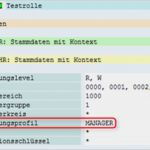 Sap Berechtigungskonzept Vorlage Großartig Sap Berechtigungen Überblick Hcm Berechtigungskonzepte