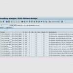 Sap Berechtigungskonzept Vorlage Wunderbar Reference Manager