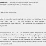 Schadensersatz Rechnung Vorlage Beste Anspruchsschreiben Schadensersatz Wegen Nichtgewährung
