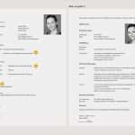 Scheck Vorlage Word Best Of Vorlage Scheck Spende – Vorlagen 1001