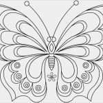 Scherenschnitt Vorlagen Zum Ausdrucken Kostenlos Angenehm Ausmalbilder Schmetterling Kostenlos Malvorlagen Zum