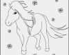 Schermotive Für Pferde Vorlagen Angenehm Ausmalbilder Pferde Und Ponys Kostenlos Malvorlagen Zum