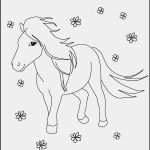 Schermotive Für Pferde Vorlagen Angenehm Ausmalbilder Pferde Und Ponys Kostenlos Malvorlagen Zum