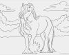 Schermotive Für Pferde Vorlagen Beste Ausmalbilder Pferd Kostenlos Malvorlagen Zum Ausdrucken