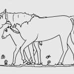 Schermotive Für Pferde Vorlagen Beste Pferdebilder Zum Ausdrucken Gratis Kinderbilder Download