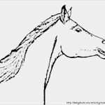 Schermotive Für Pferde Vorlagen Cool Schermotive Für Pferde Vorlagen Schönste Pferdebilder