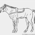 Schermotive Für Pferde Vorlagen Erstaunlich Pferdebilder Ausmalen Pferdeköpfe Ausmalbilder