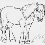Schermotive Für Pferde Vorlagen Gut Pferd Malvorlagen Kostenlos Zum Ausdrucken Ausmalbilder