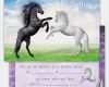 Schermotive Für Pferde Vorlagen Inspiration Einladungskarten Kindergeburtstag Pferde