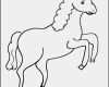 Schermotive Für Pferde Vorlagen Schön Kostenloses Pferde Ausmalbild Für Kleinkinder