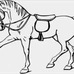 Schermotive Für Pferde Vorlagen Schön Malvorlagen Kostenlos