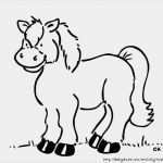 Schermotive Für Pferde Vorlagen Schönste Pferde Ausmalbilder Vorlagen Die Beste Idee Zum Ausmalen