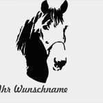 Schermotive Für Pferde Vorlagen Süß Auto Aufkleber Araber Auch Für Pferdeanhänger