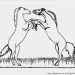 Schermotive Für Pferde Vorlagen Süß Pferdebilder Ausmalen Pferdeköpfe Ausmalbilder