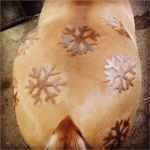 Schermotive Für Pferde Vorlagen Wunderbar Musterschuren