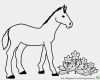 Schermotive Für Pferde Vorlagen Wunderbar Pferde Ausmalbilder Vorlagen Die Beste Idee Zum Ausmalen