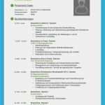 Schlechte Bewerbung Vorlage Einzigartig Lebenslauf Beispiele Für Perfekte Bewerbung