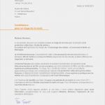 Schlechte Bewerbung Vorlage Neu Bewerbungsschreiben Muster Bewerbungsschreiben Französisch