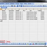 Schlüsselverwaltung Excel Vorlage Süß Anleitung – Werden