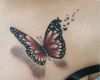 Schmetterling Tattoo 3d Vorlagen Best Of Die Besten 25 Tattoo Schmetterling 3d Ideen Auf Pinterest