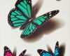 Schmetterling Tattoo 3d Vorlagen Beste Die 25 Besten Ideen Zu Schmetterling Tattoo Auf Pinterest