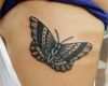 Schmetterling Tattoo 3d Vorlagen Gut Tattoovorlage Schwarzer Schmetterling