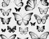 Schmetterling Tattoo 3d Vorlagen Süß Schmetterling Tattoo Bedeutung Schön Und Sinnvoll