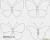 Schmetterling Wanddeko Vorlage Inspiration Schmetterlinge 3d Vorlage