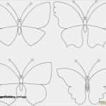 Schmetterling Wanddeko Vorlage Inspiration Schmetterlinge 3d Vorlage