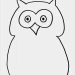 Schmink Schablonen Vorlagen Gut Die Besten 25 Schmink Schablonen Ideen Auf Pinterest