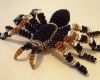 Schmuck Basteln Vorlagen Beste Perlentiere Anchelitas Kreative Welt