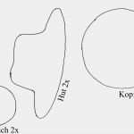 Schneemann Vorlage Zum Ausdrucken Gut Schneemann Vorlage – Home Sweet Home