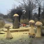 Schnitzen Motorsäge Vorlagen Einzigartig Pilz Schnitzen