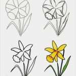 Schöne Visitenkarten Vorlagen Inspiration Die Besten 25 Blumen Malen Ideen Auf Pinterest