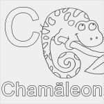 Schönschrift Lernen Vorlage Cool Kostenlose Malvorlage Buchstaben Lernen C Wie Chamäleon