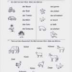 Schönschrift Lernen Vorlage Inspiration Die Fabelhaften Buchstaben Lernen Arbeitsblätter