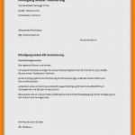 Schreiben Versicherung Schadensregulierung Vorlage Elegant 9 Schadensmeldung Versicherung Muster