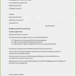 Schreiben Versicherung Schadensregulierung Vorlage Süß 17 Schadensmeldung Versicherung Vorlage