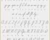 Schreibschrift Tattoo Vorlagen Bewundernswert Tattoo Schrift Schreibschrift Bewundernswert 200 Cursive