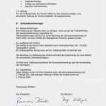 Schriftführer Verein Protokoll Vorlage Schön Statuten