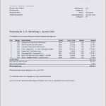 Schriftführer Verein Protokoll Vorlage Word Luxus Muster Kassenbericht Verein