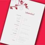 Schriftliche Bewerbung Vorlage Beste Ausformulierter Lebenslauf Lebenslauf Beispiel