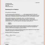 Schriftliche Bewerbung Vorlage Erstaunlich 11 Schriftliche Bewerbung Praktikum