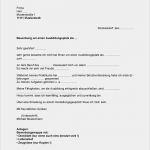 Schriftliche Bewerbung Vorlage Erstaunlich Schriftlicher Lebenslauf Lebenslauf Beispiel