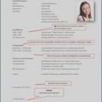 Schüler Lebenslauf Vorlage Word Cool 19 Tabellarischer Lebenslauf Vorlagen123 Vorlagen123