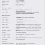 Schüler Lebenslauf Vorlage Word Inspiration Vorlage Lebenslauf Schüler Fresh Unglaubliche 35