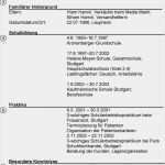 Schülerbetriebspraktikum Lebenslauf Vorlage Großartig Bewerbungsmuster Für Berufseinsteiger Pdf